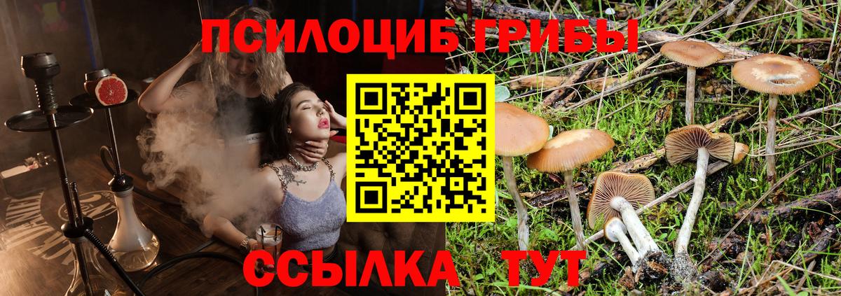 Псилоцибиновые грибы Psilocybine cubensis  Вход с VPN  Медногорск 