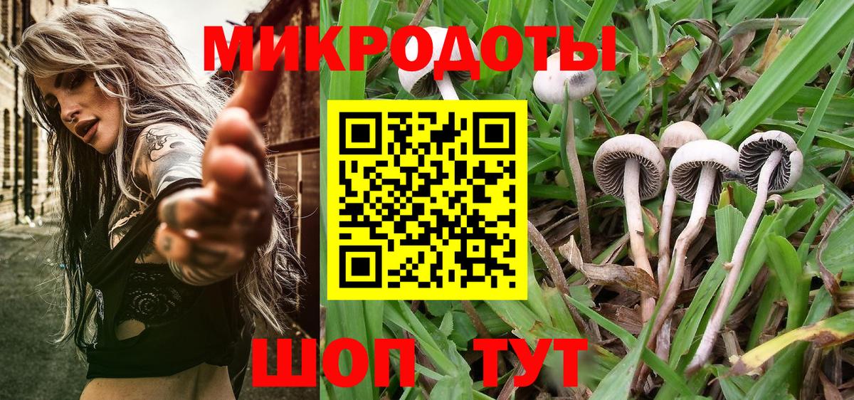 Галлюциногенные грибы Magic Shrooms Медногорск